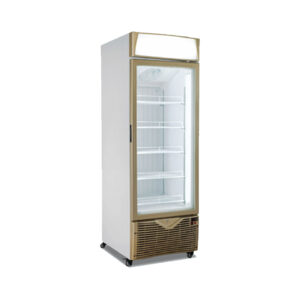 THE COOL SINGLE GLASS DOOR DISPLAY,400L - FREEZER ~ EXPO 450